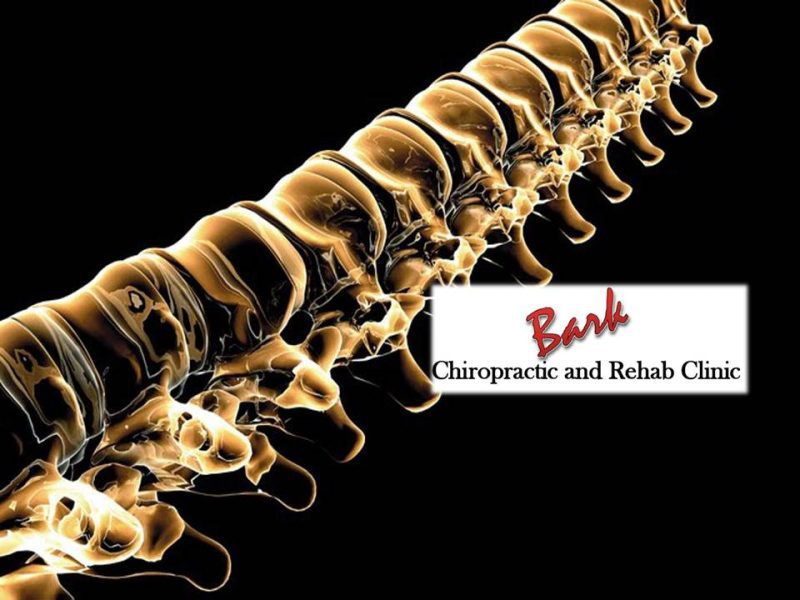 Bark Chiropractic & Rehab Clinic of Muscatine