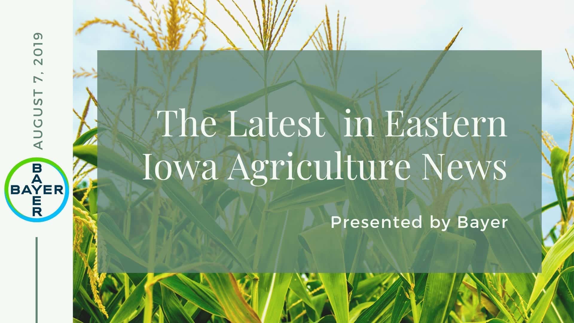 4-H & Youth  Iowa State University Extension and Outreach Linn County
