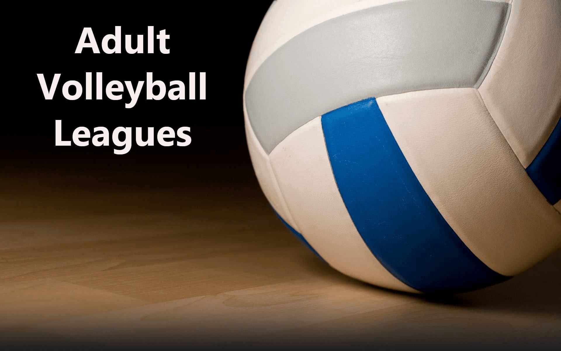Registration underway for winter adult volleyball leagues | Discover ...