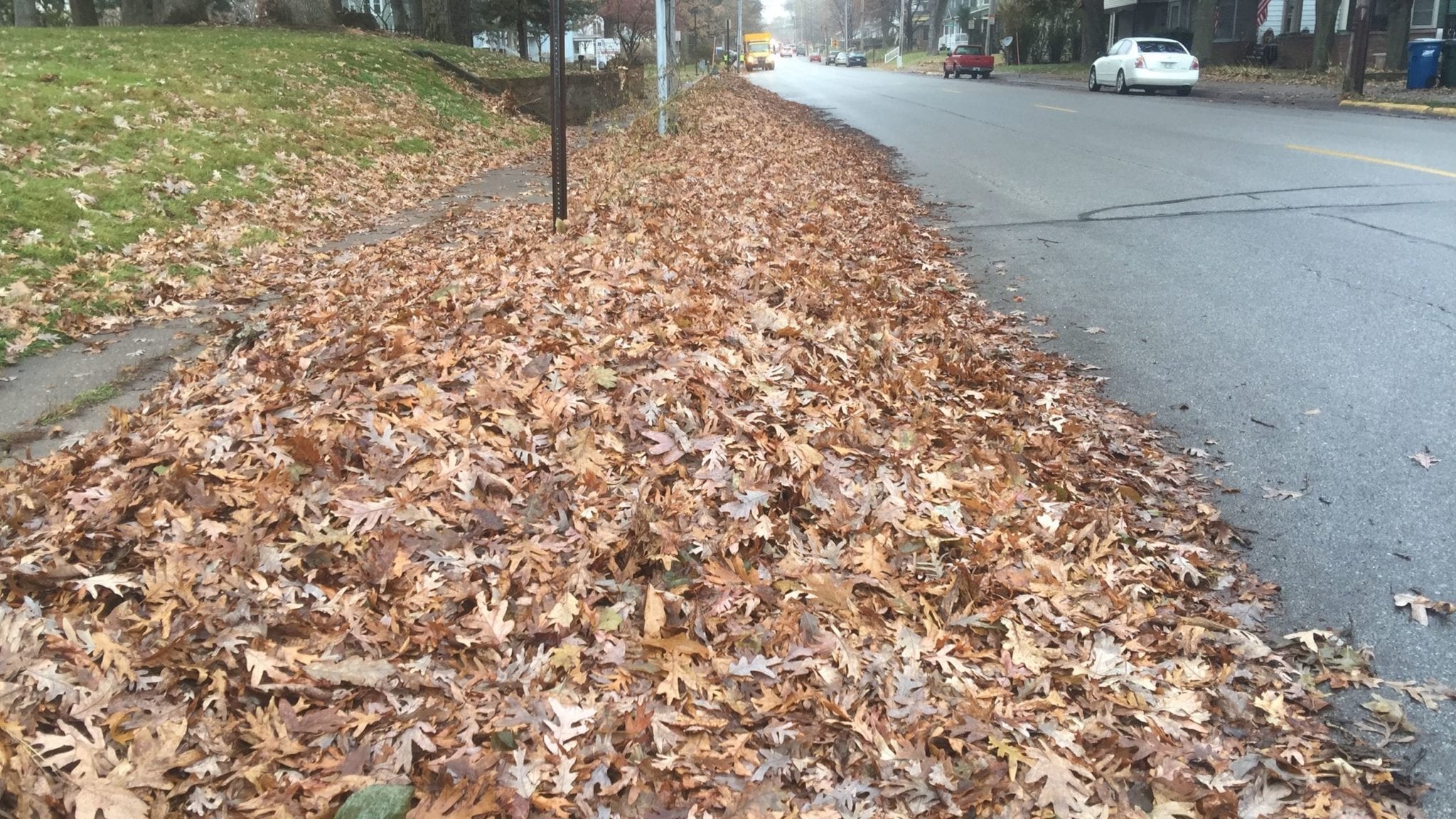 City’s leaf collection effort passes halfway mark