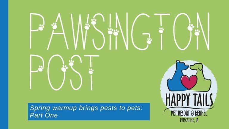 Spring warmup brings pests to pets: Part One