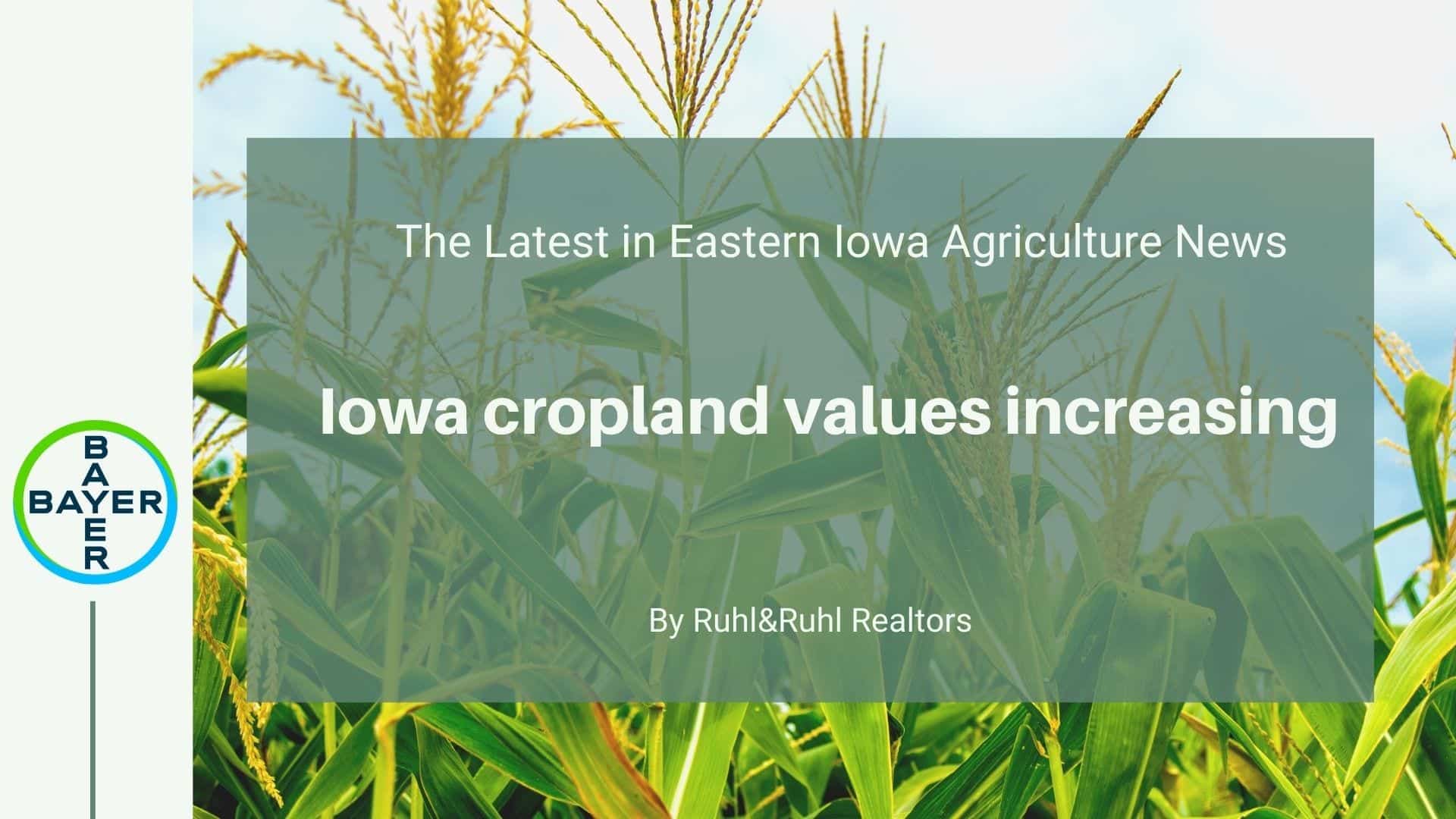 Iowa cropland values increasing