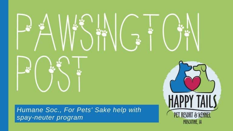Humane Soc., For Pets’ Sake help with spay-neuter program