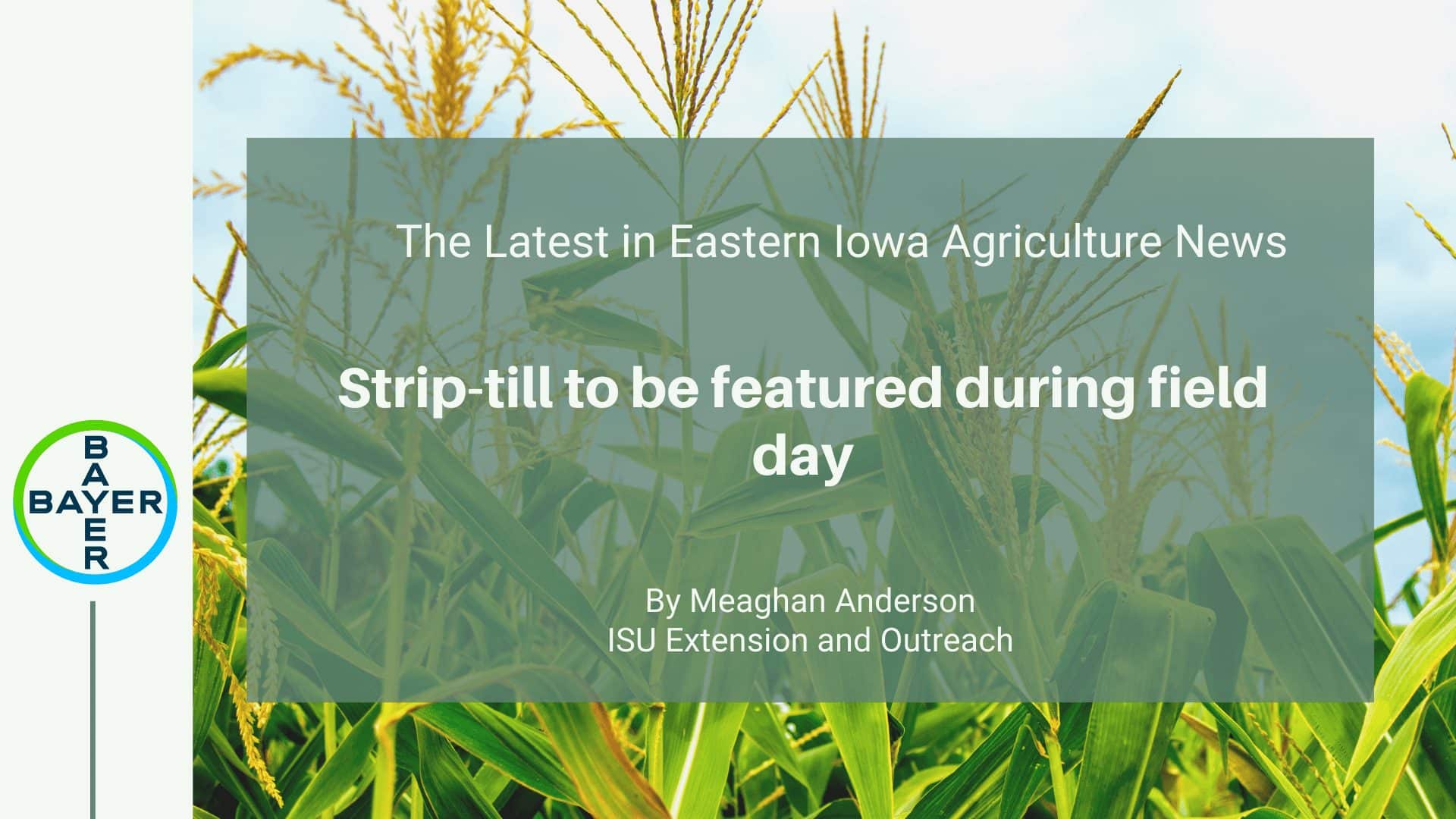 Meaghan Anderson