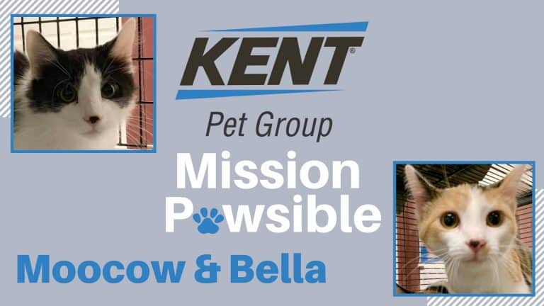 Mission Pawsible Sept. 29