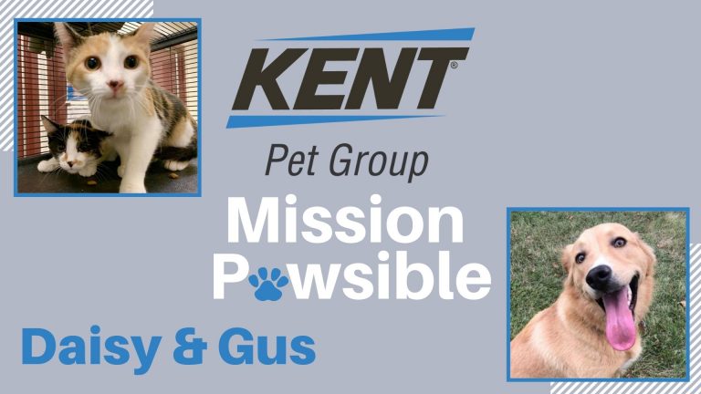 Mission Pawsible Oct. 6