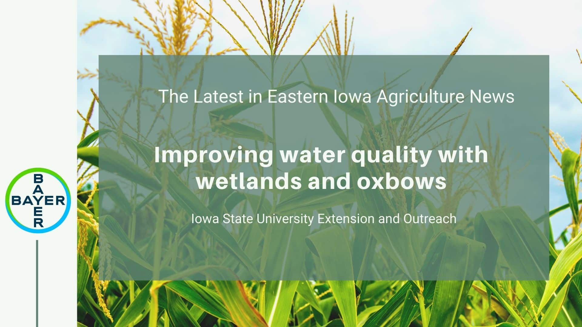 Featured Image The Latest Eastern Iowa Agricultural News (17)