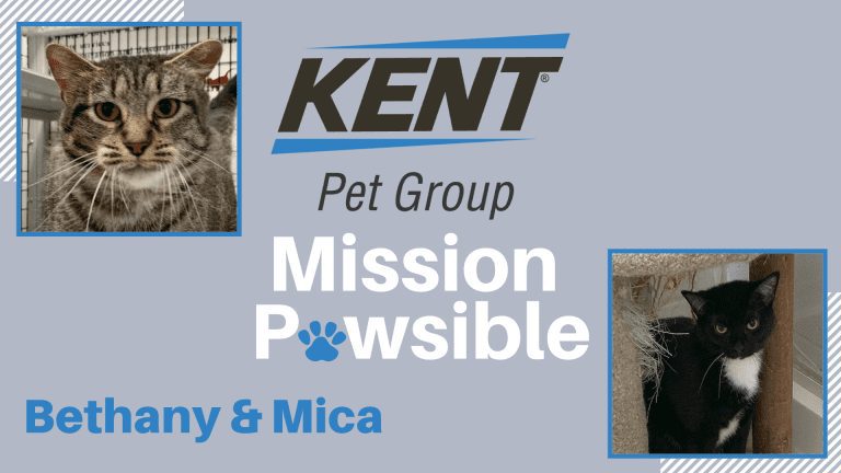 Mission Pawsible Nov. 17