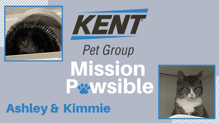 Mission Pawsible Dec. 01
