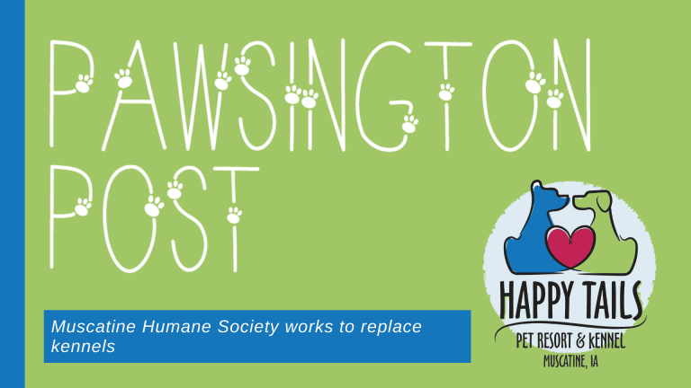 Muscatine Humane Society works to replace kennels
