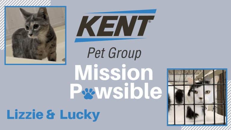 Mission Pawsible Dec. 22