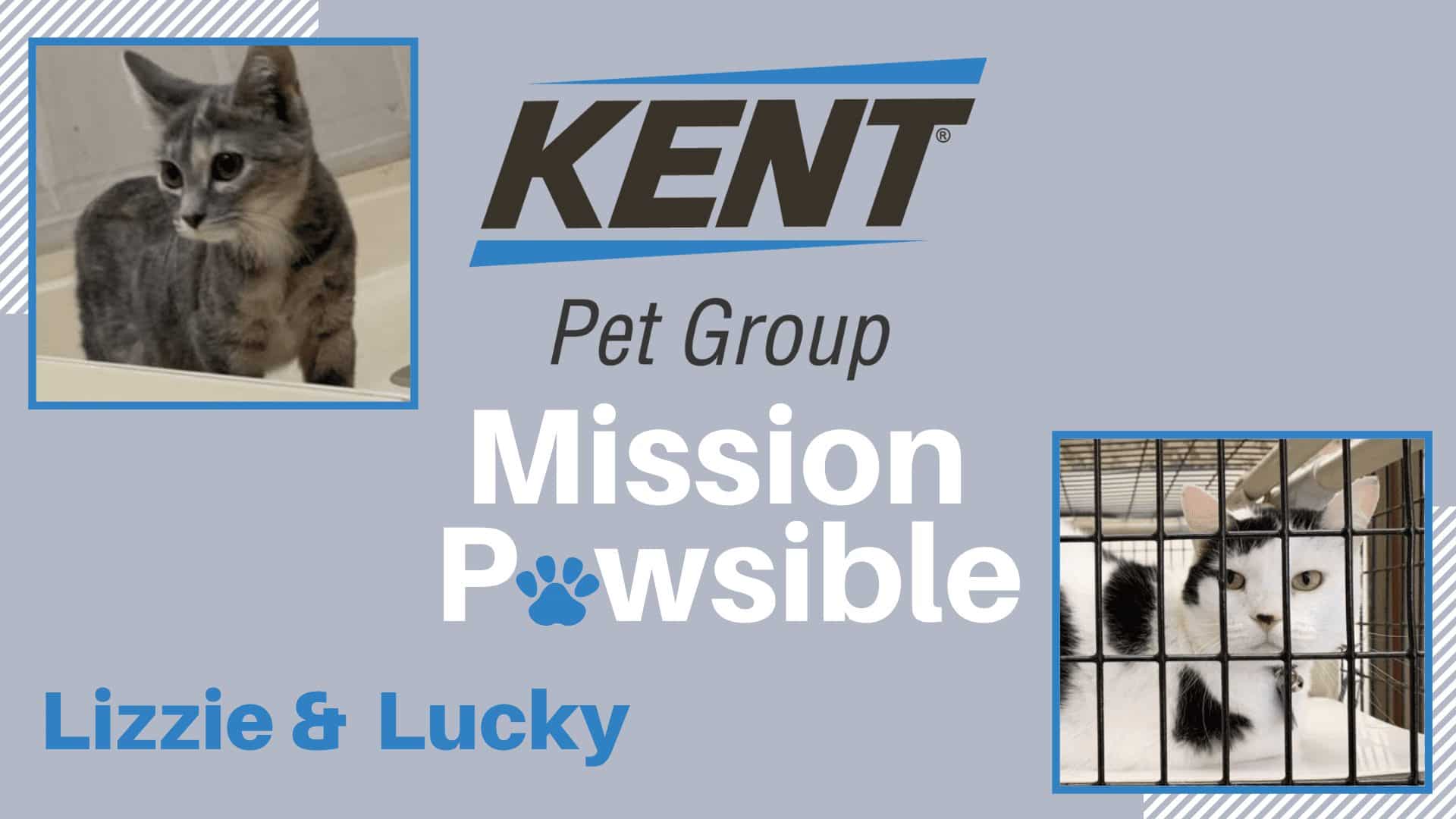 Featured Image Mission Pawsible Lizzie and Lucky