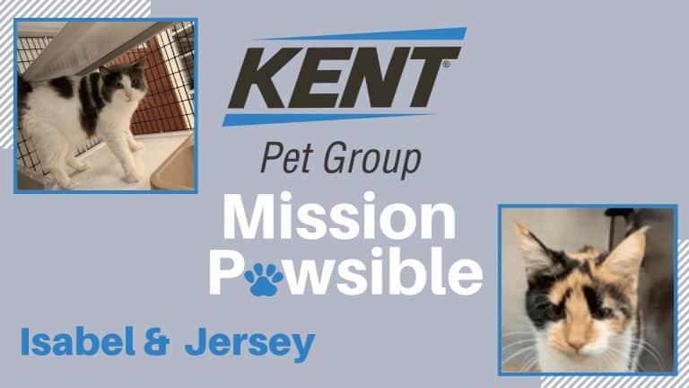 Mission Pawsible Dec. 15