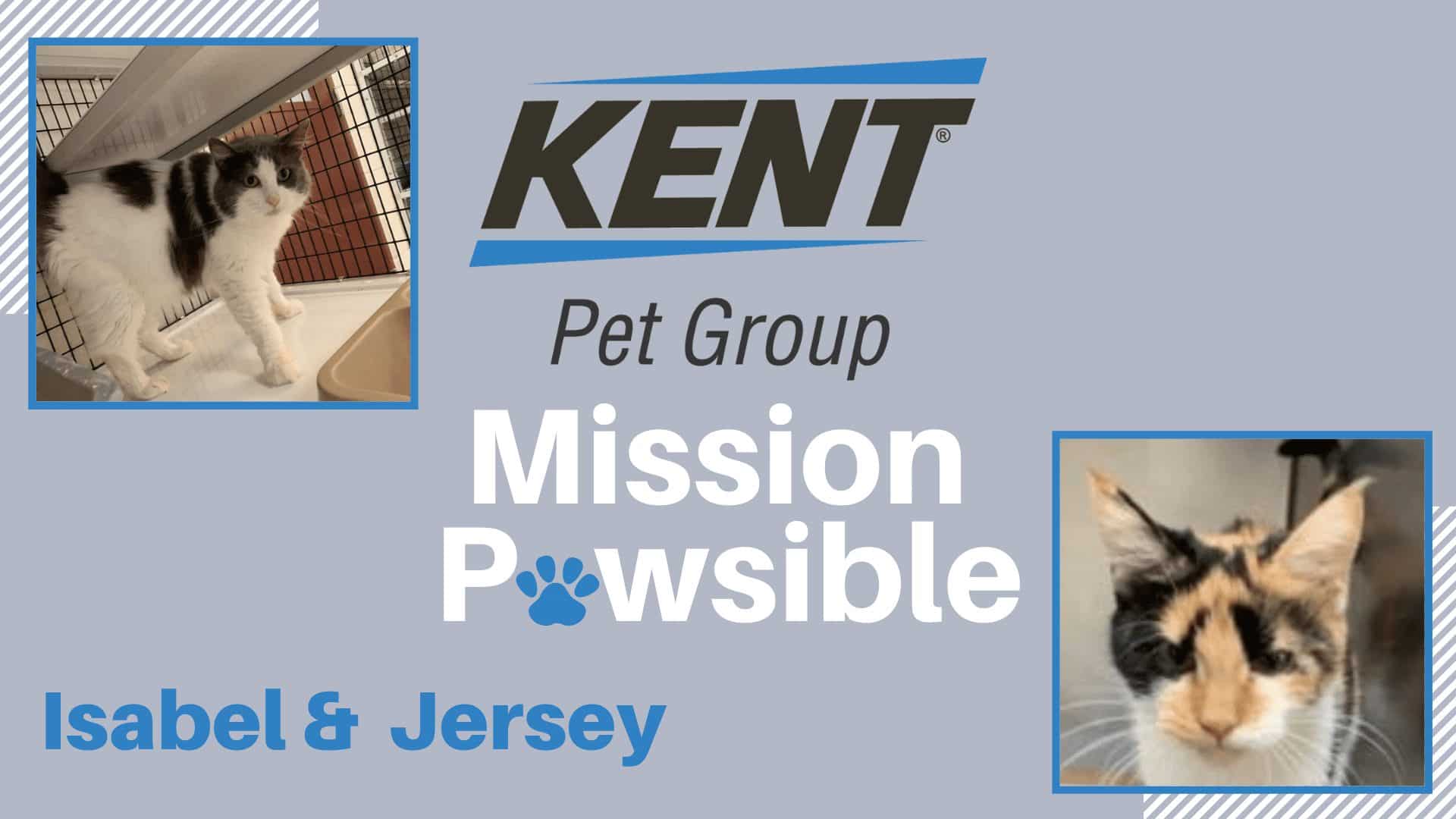Mission Pawsible Dec. 15 2021