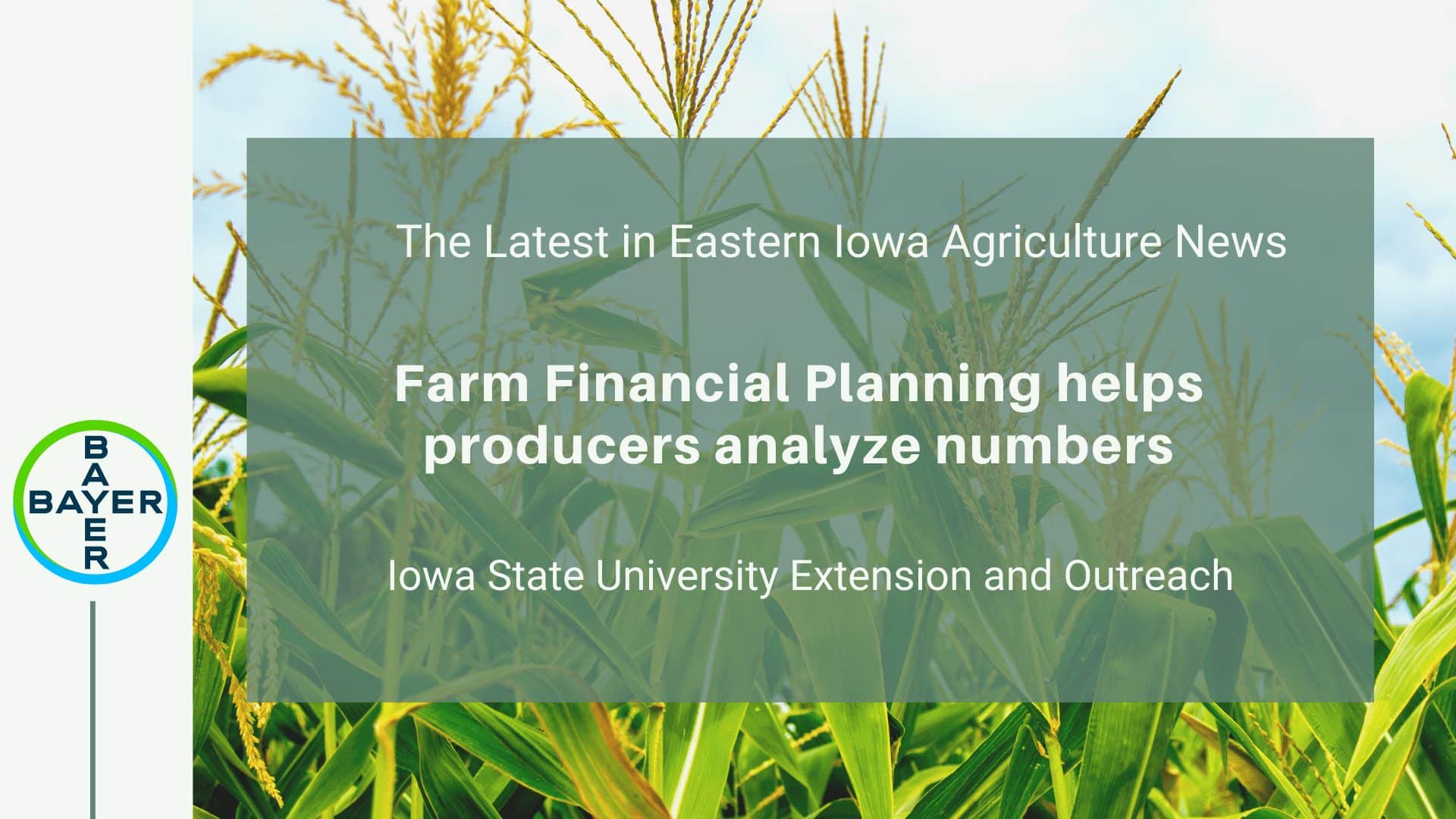 Farm Financial Planning helps producers analyze numbers