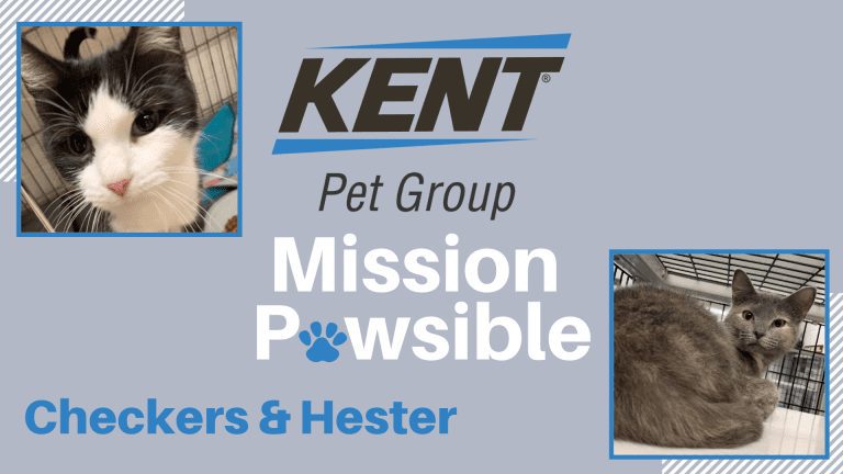 Mission Pawsible Jan. 19