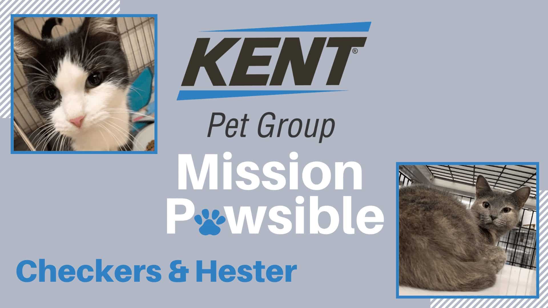 Featured Image Mission Pawsible 01-19-22