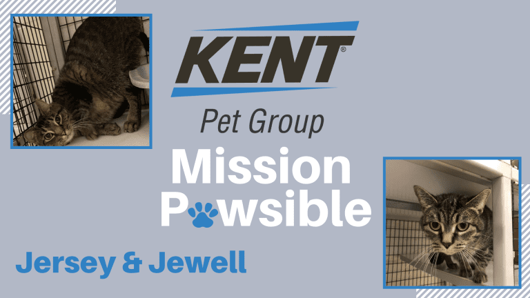 Mission Pawsible Jan. 26