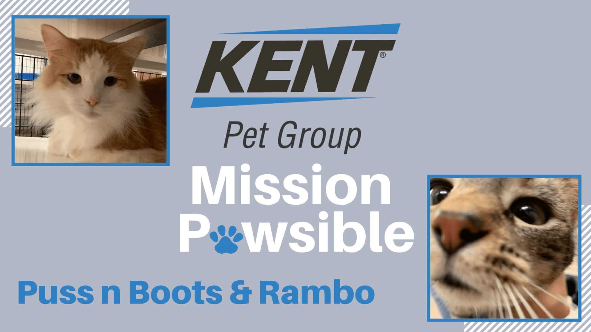 Mission Pawsible Feb. 09