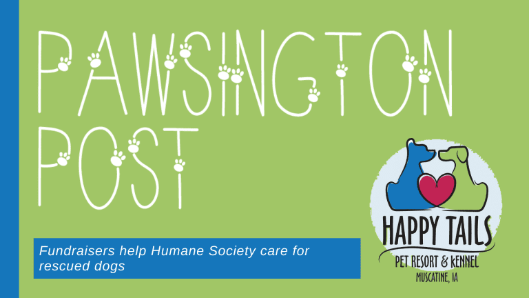 Fundraisers help Humane Society care for rescued dogs