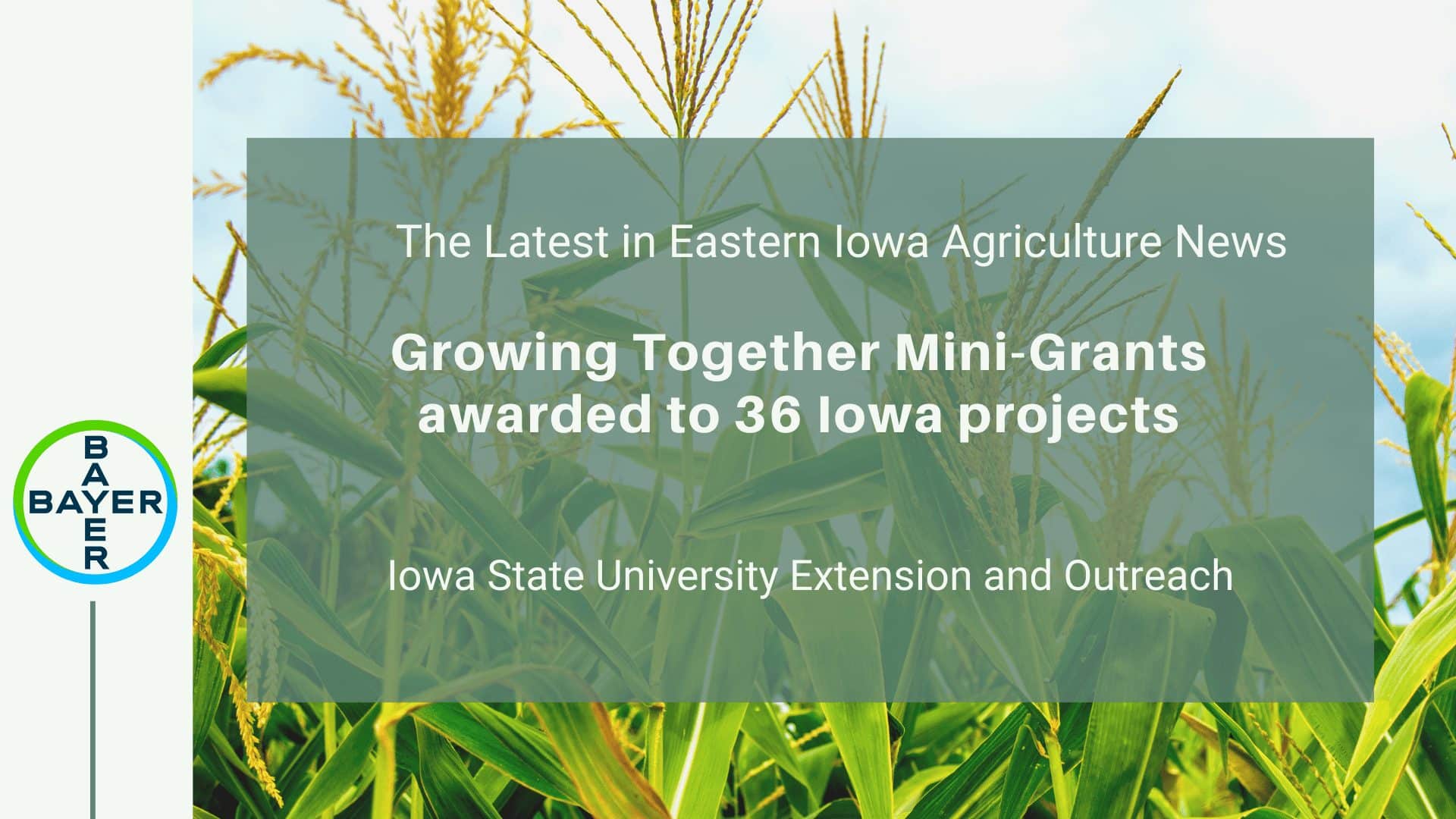 Growing Together Mini-Grants awarded to 36 Iowa projects