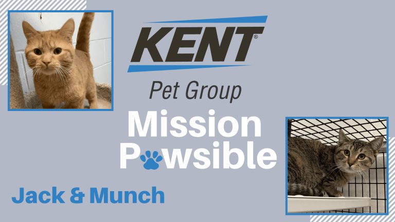 Mission Pawsible March 9