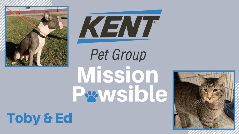 Mission Pawsible Feb. 23