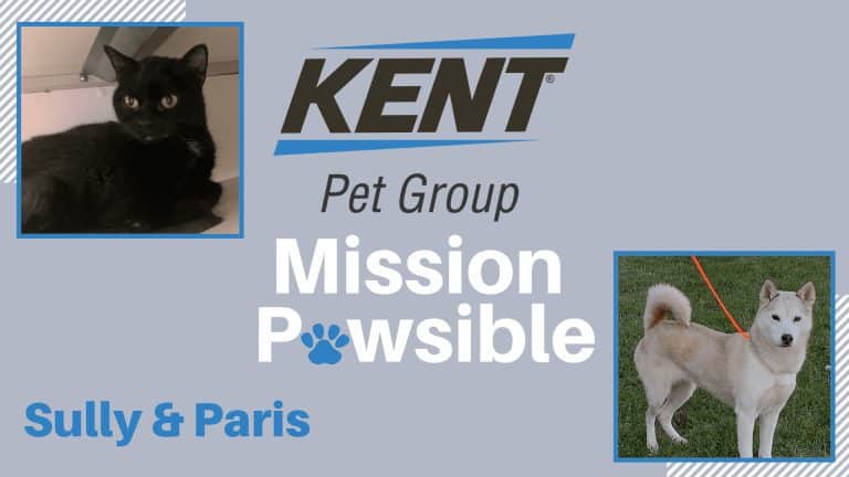 Mission Pawsible March 16