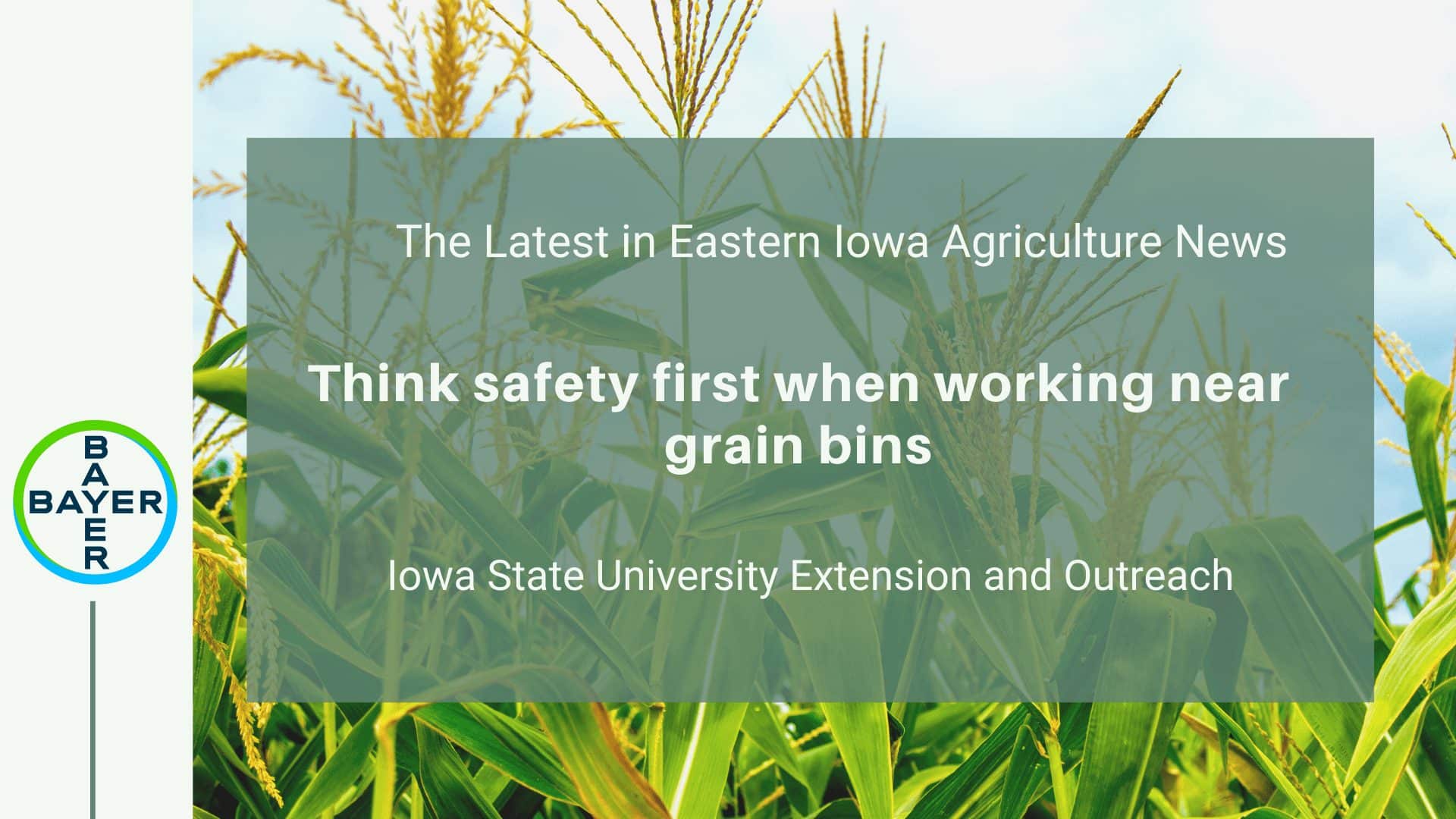 Think safety first when working near grain bins