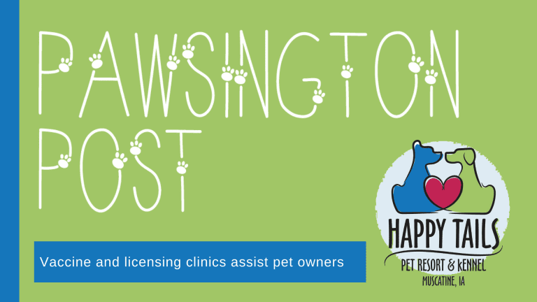 Vaccine and licensing clinics assist pet owners