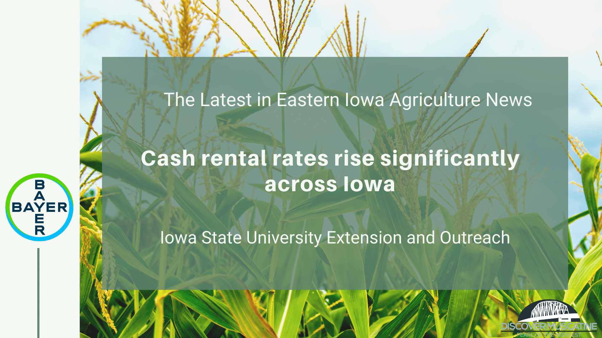 Cash rental rates rise significantly across Iowa Discover Muscatine