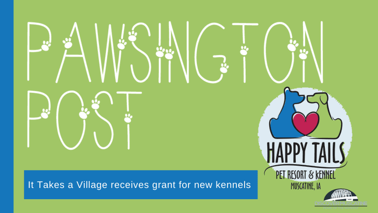 It Takes a Village receives grant for new kennels