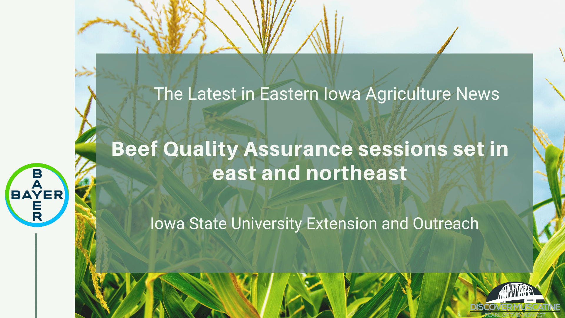 Beef Quality Assurance sessions set in east and northeast