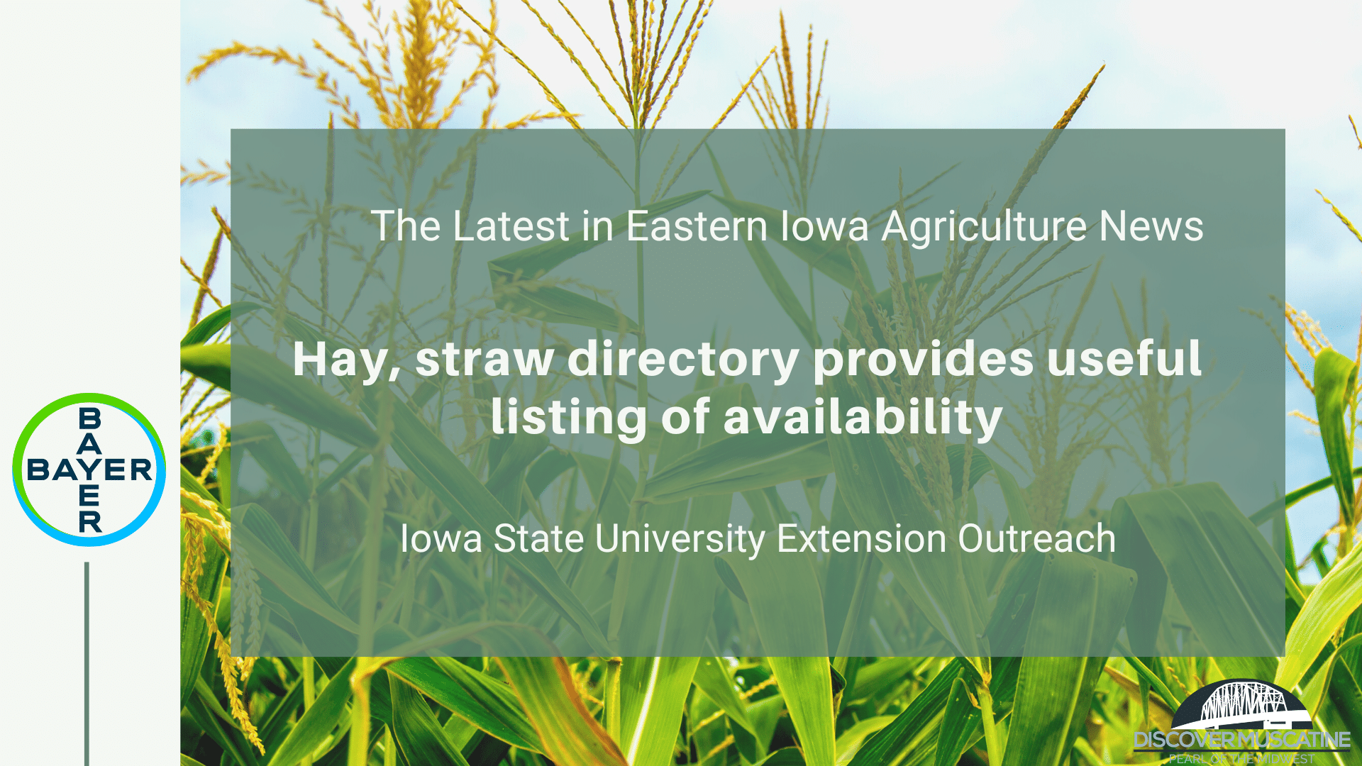 Hay, straw directory provides useful listing of availability
