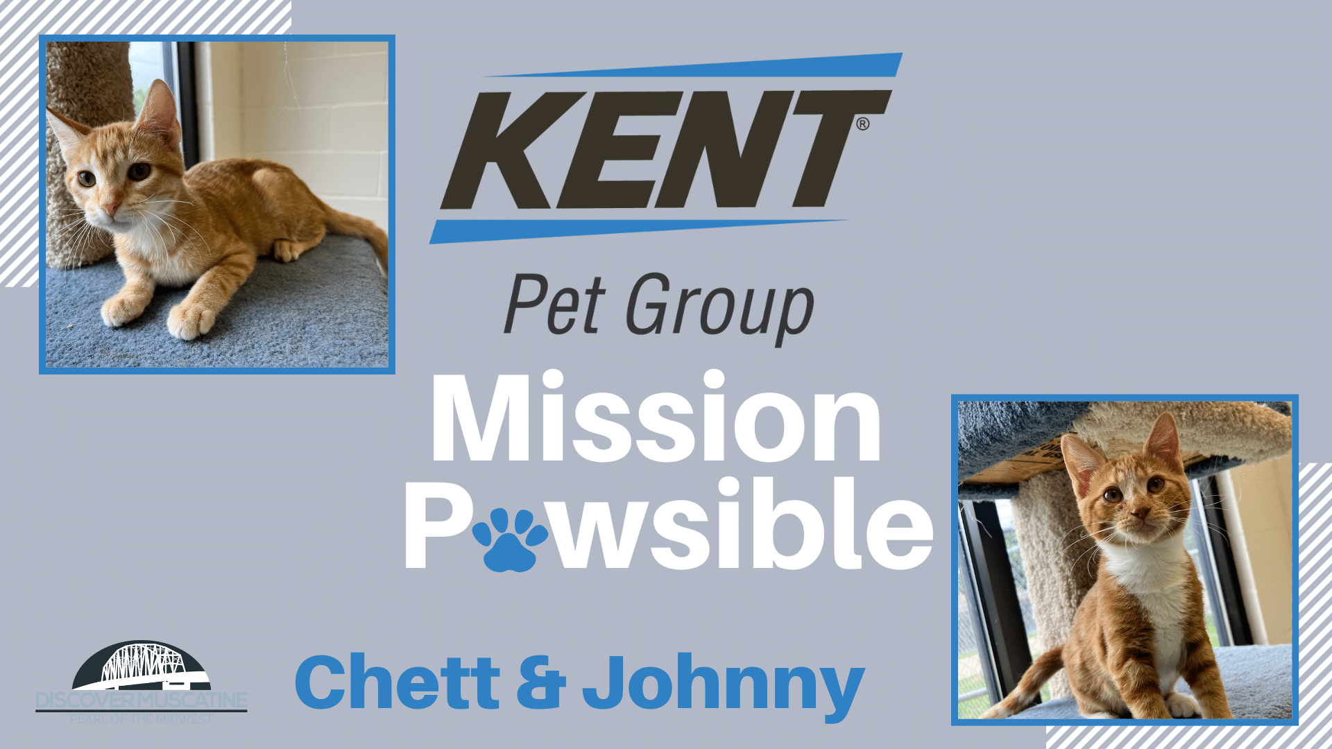 Mission Pawsible Chett and Johnny