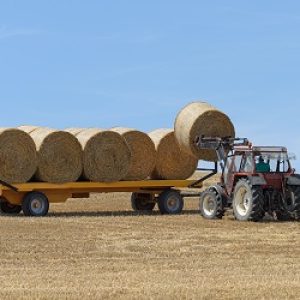 Hay, straw listing gives helpful itemizing of availability