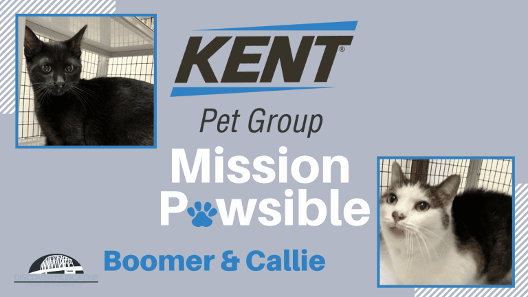 Mission Pawsible Oct. 5