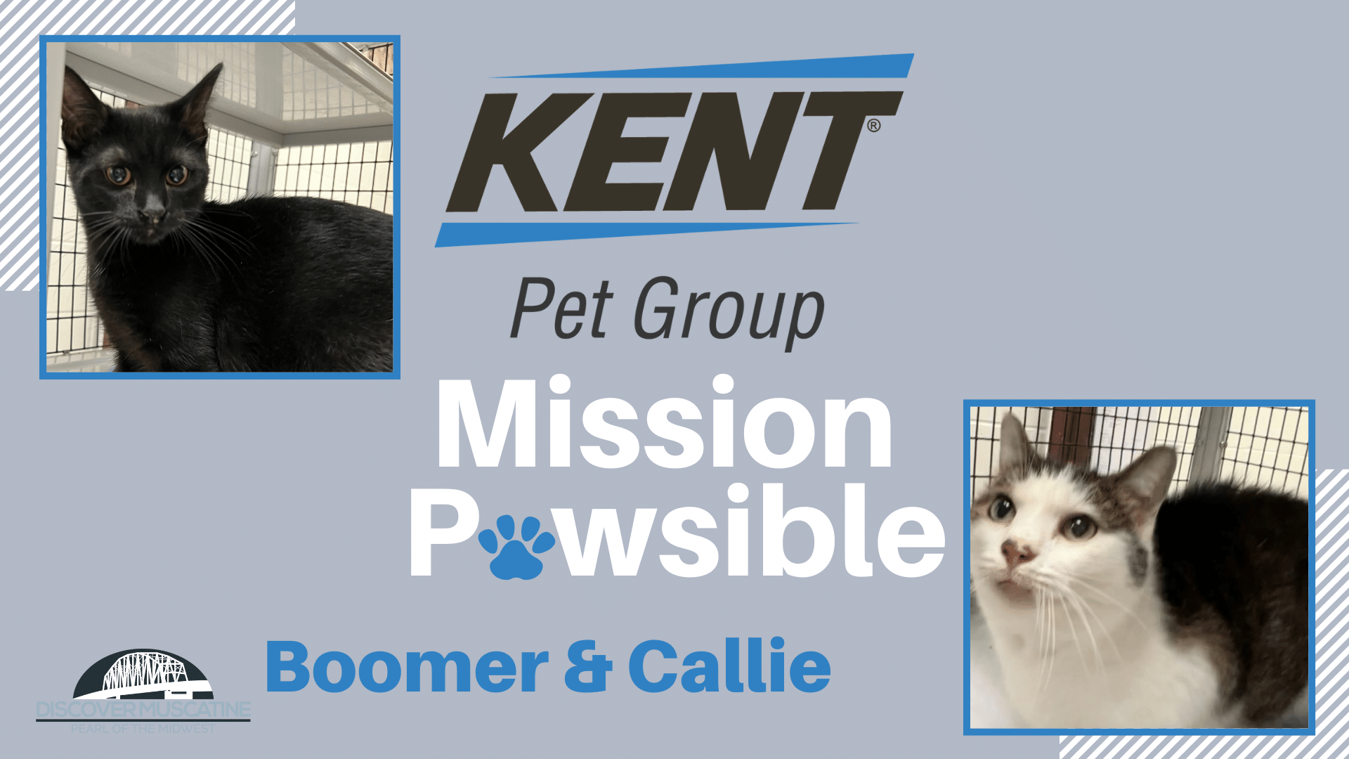 Mission Pawsible Boomer and Callie