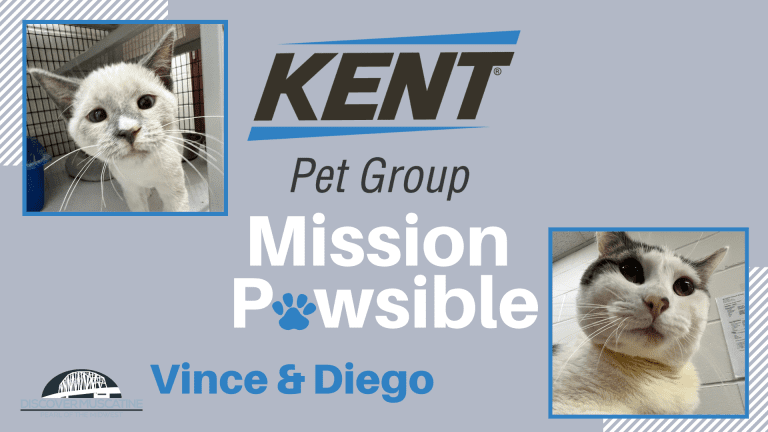 Mission Pawsible Oct. 12