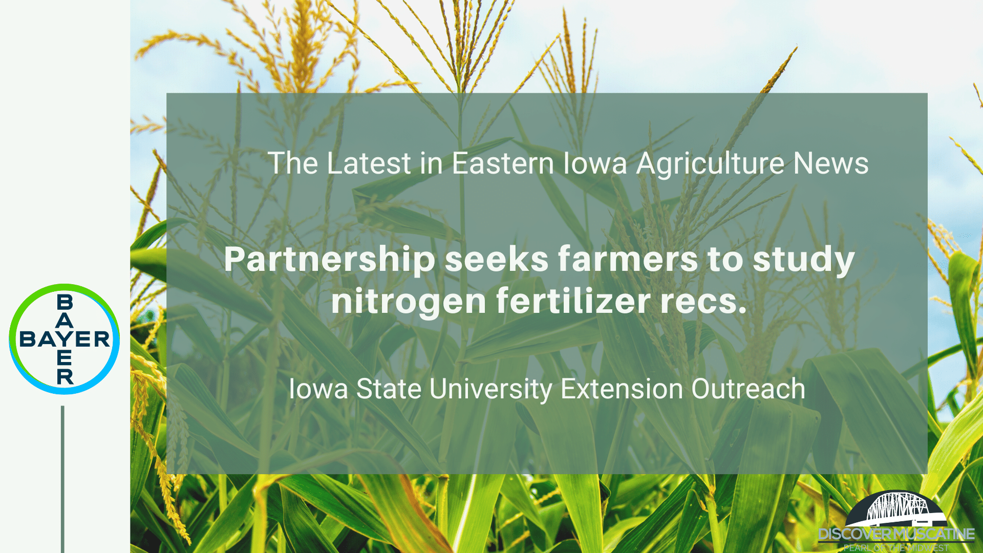 Partnership seeks farmers to study nitrogen fertilizer recs.