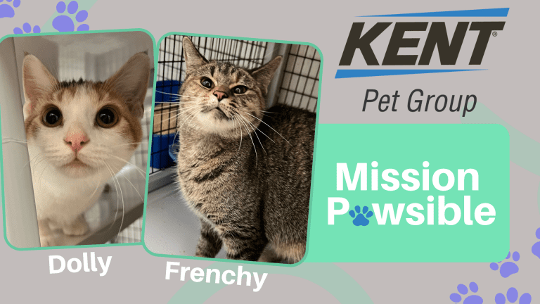 Mission Pawsible Oct. 19