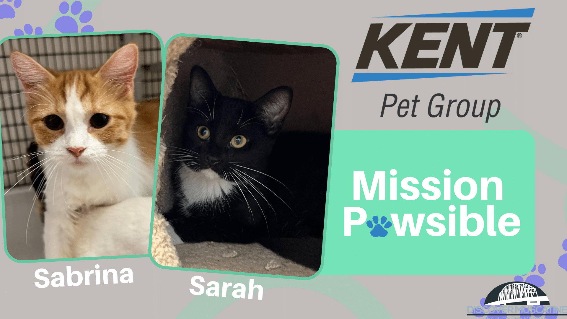 Mission Pawsible Sabrina and Sarah