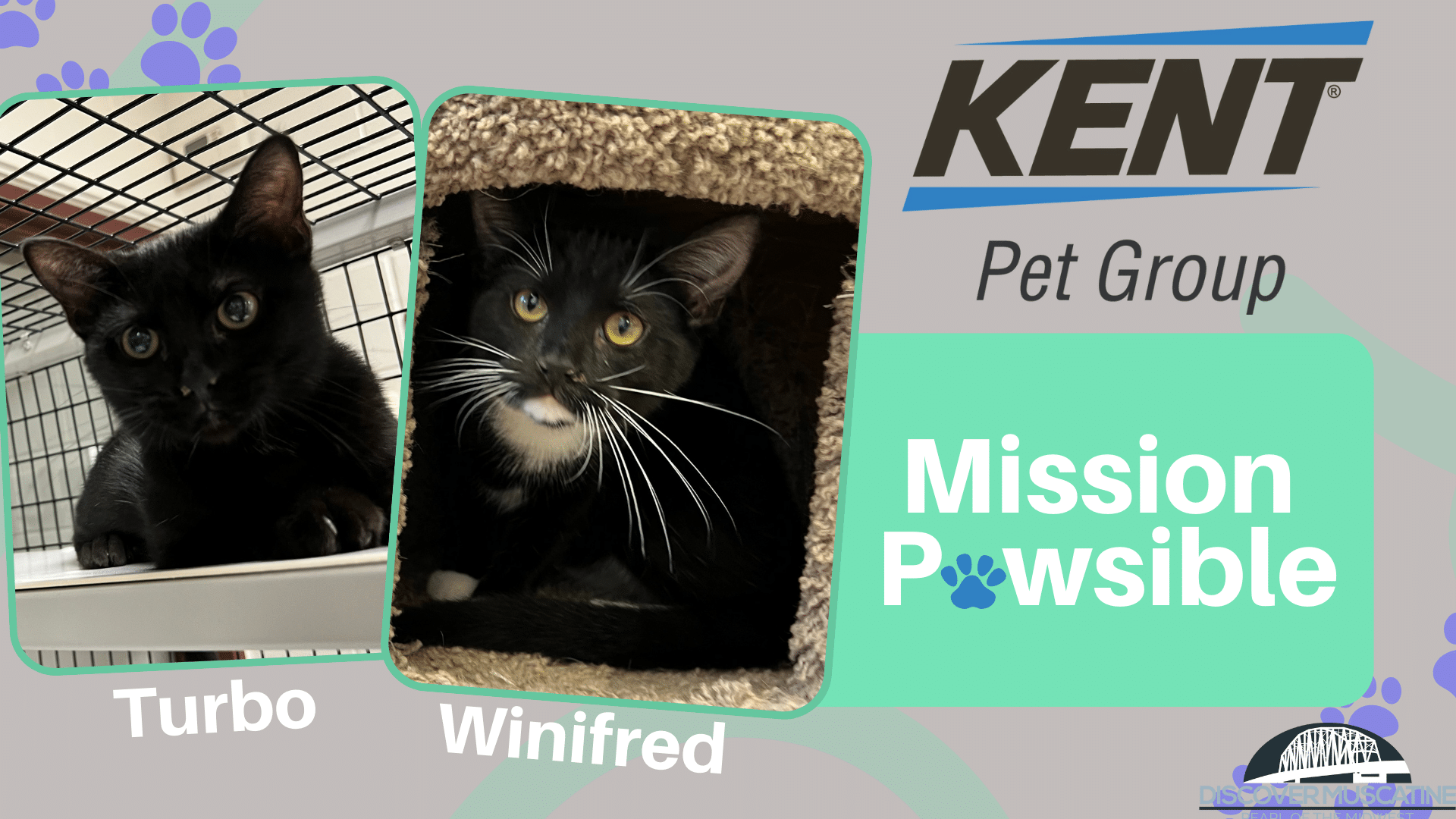 Mission Pawsible Turbo and Winifred