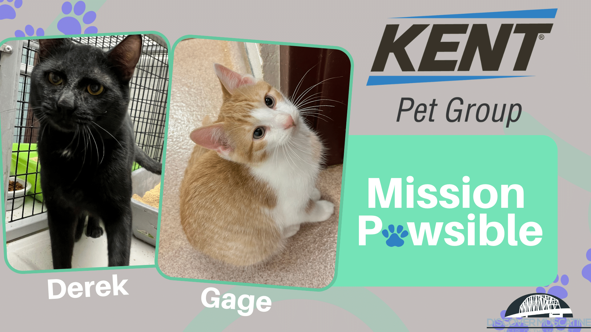 Mission Pawsible Derek and Gage