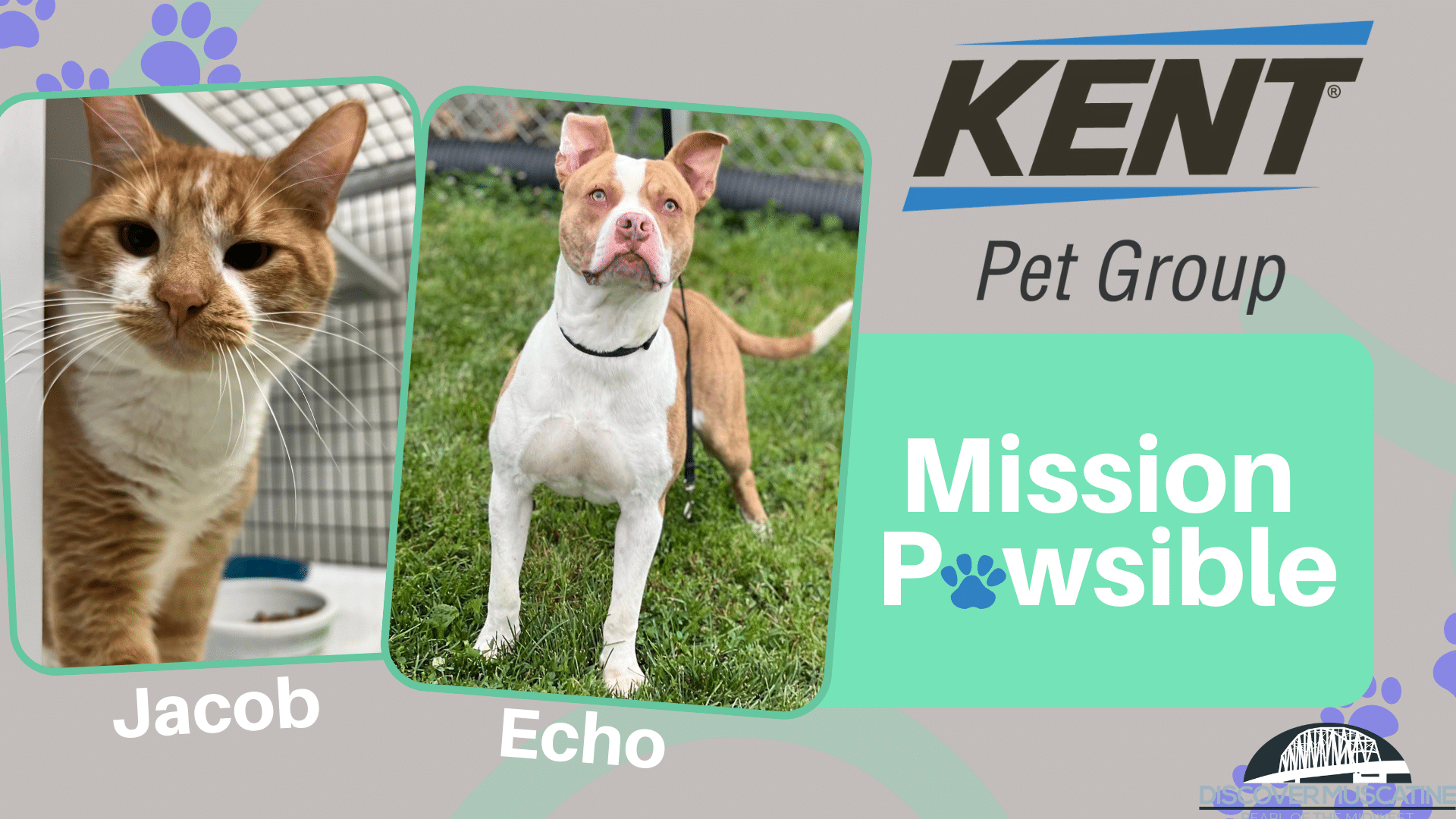 Mission Pawsible Echo and Jacob