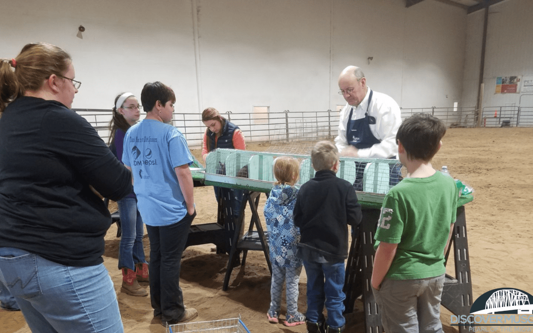 Annual rabbit and cavy workshop set for April 1 in Muscatine