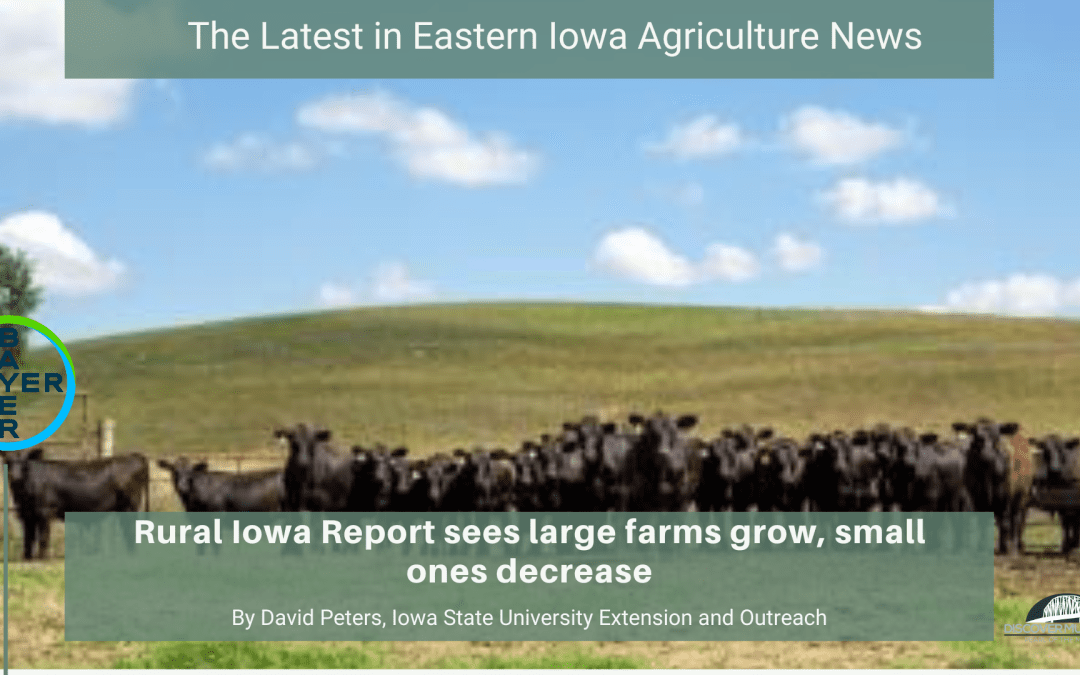 Rural Iowa report sees large farms grow, small ones decrease