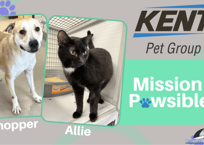 Mission Pawsible May 3