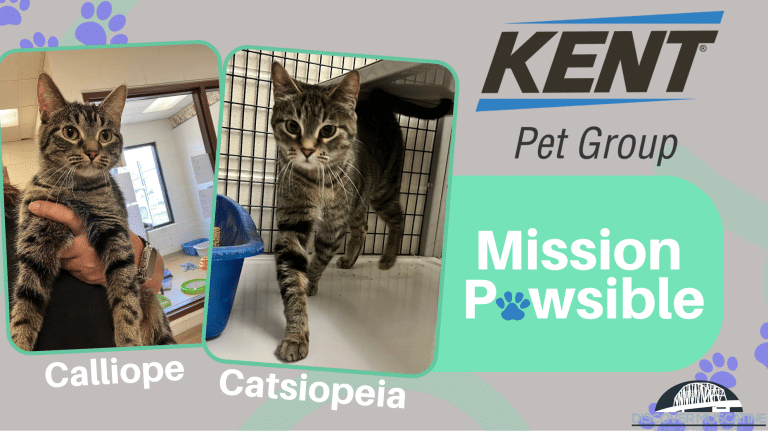 Mission Pawsible June 7
