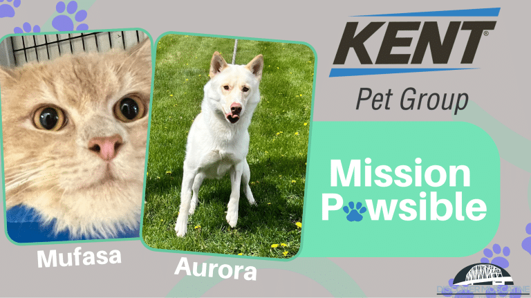 Mission Pawsible May 31
